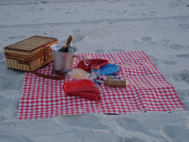 The Picnic Spread