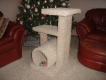 Aaron's cat playhouse