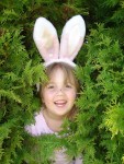 taylor easter